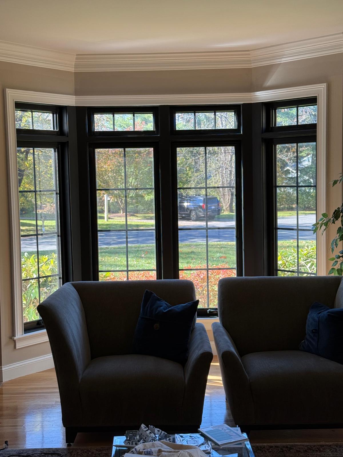 Windows & Doors